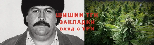 тгк Абинск