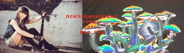 тгк Абинск