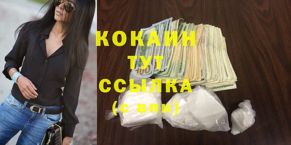 гидра Абаза