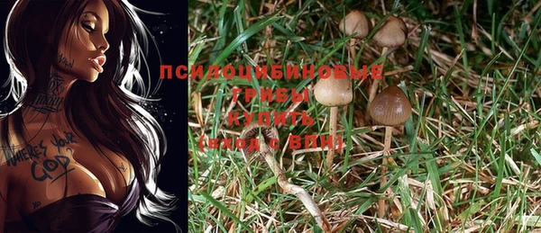 гидра Абаза