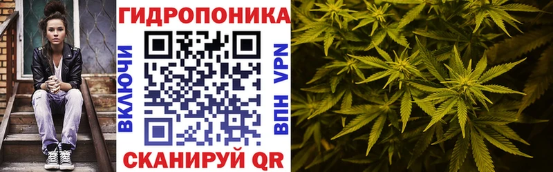 как найти закладки  Волоколамск  Каннабис конопля 